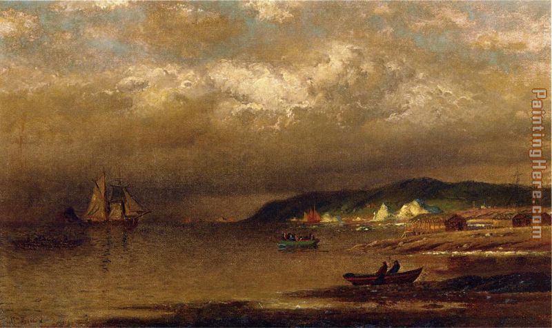 Coast of Newfoundland